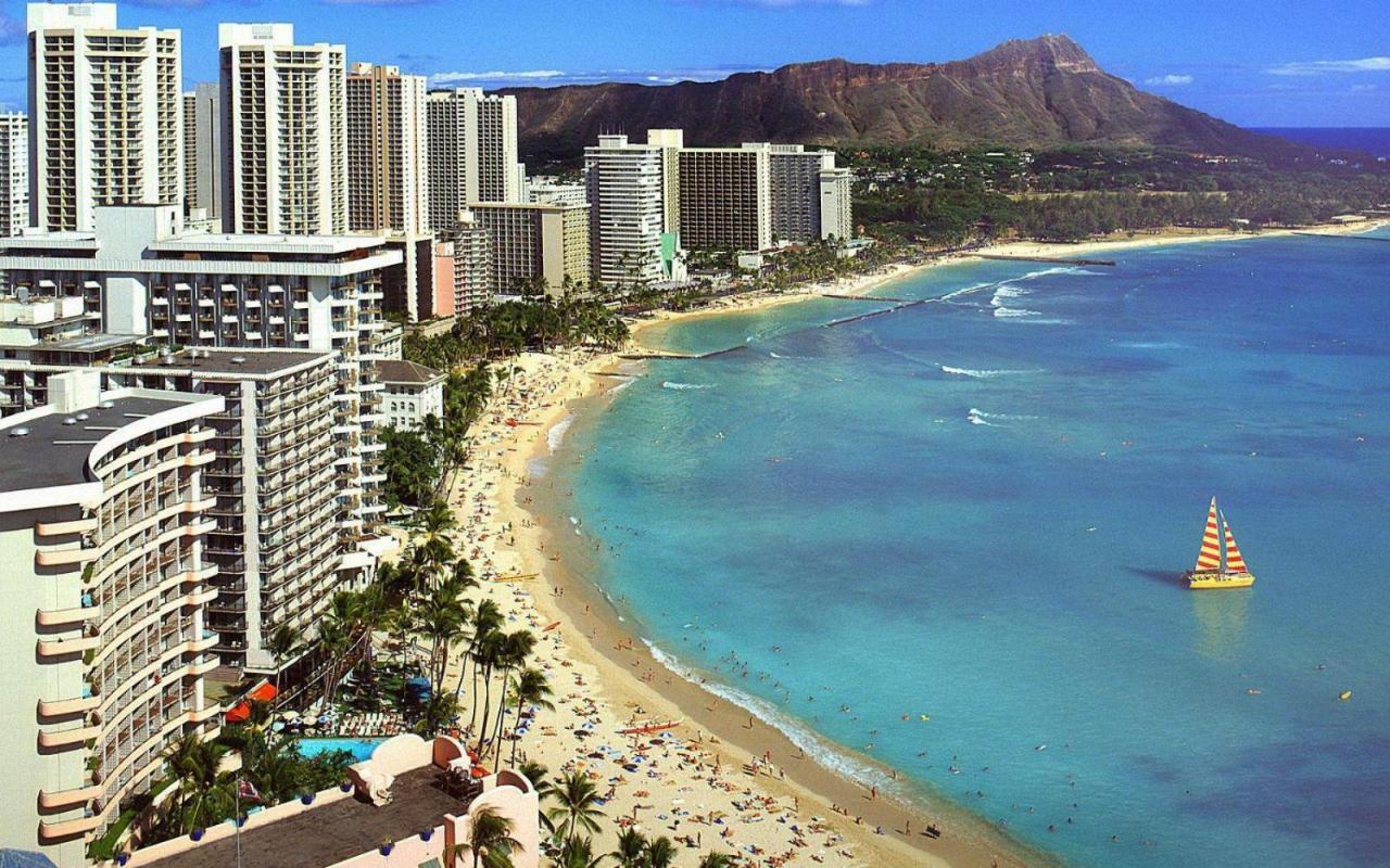Rare Deluxe Ocean View Gem With Free Parking Apartment *